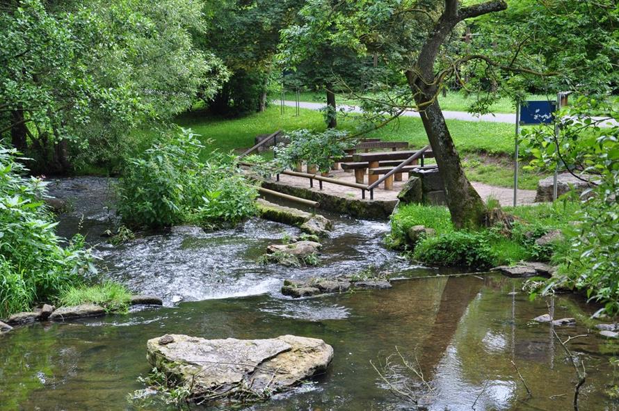 Paradies für Angler! Angeln in der Streu oder im Eisteich. Unser Ferienhof liegt nicht weit von der Streu entfernt.