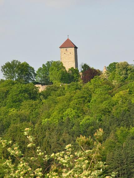 Premiumwandern auf der Extratour "Der Ostheimer" mit Einkehr in der Lichtenburg. Landurlaub in der Rhön.